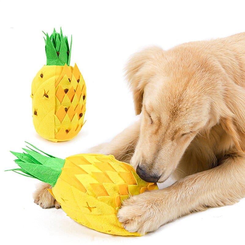 Pineapple Treat Sniffing Toy