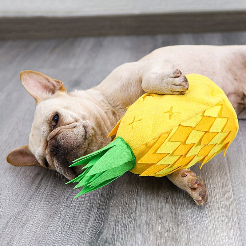 Pineapple Treat Sniffing Toy