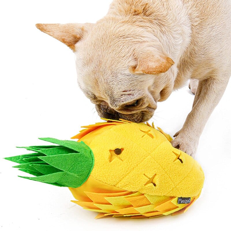 Pineapple Treat Sniffing Toy