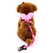 Pink / M Angel Wings Dog Harness and Leash Set