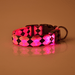 Pink / Squared / S USB Rechargeable LED Flashing Nylon Dog Collar