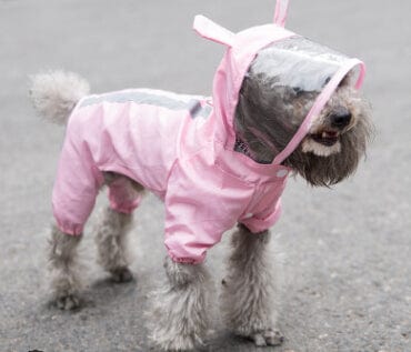 Pink / XXL Pet dog raincoat