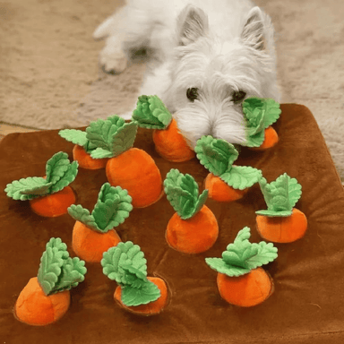 Plush Carrot Harvest Puzzle Snuffle Mat