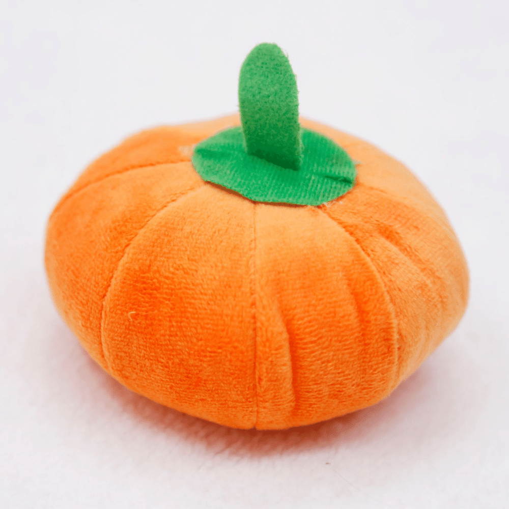 Plush Pumpkin Dog Squeaky Toy