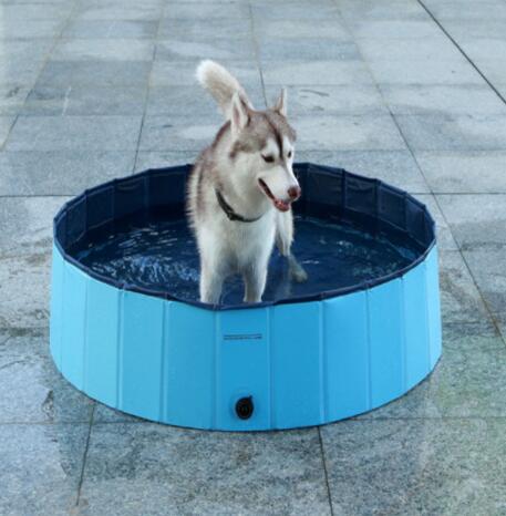 Portable Collapsible Dog Pool