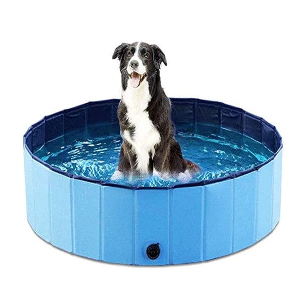 Portable Collapsible Dog Pool