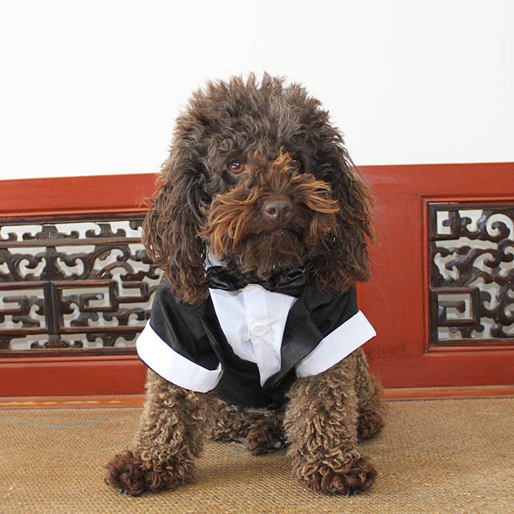 Puppy Gentleman Bow Tie Evening Dress Pet Supplies