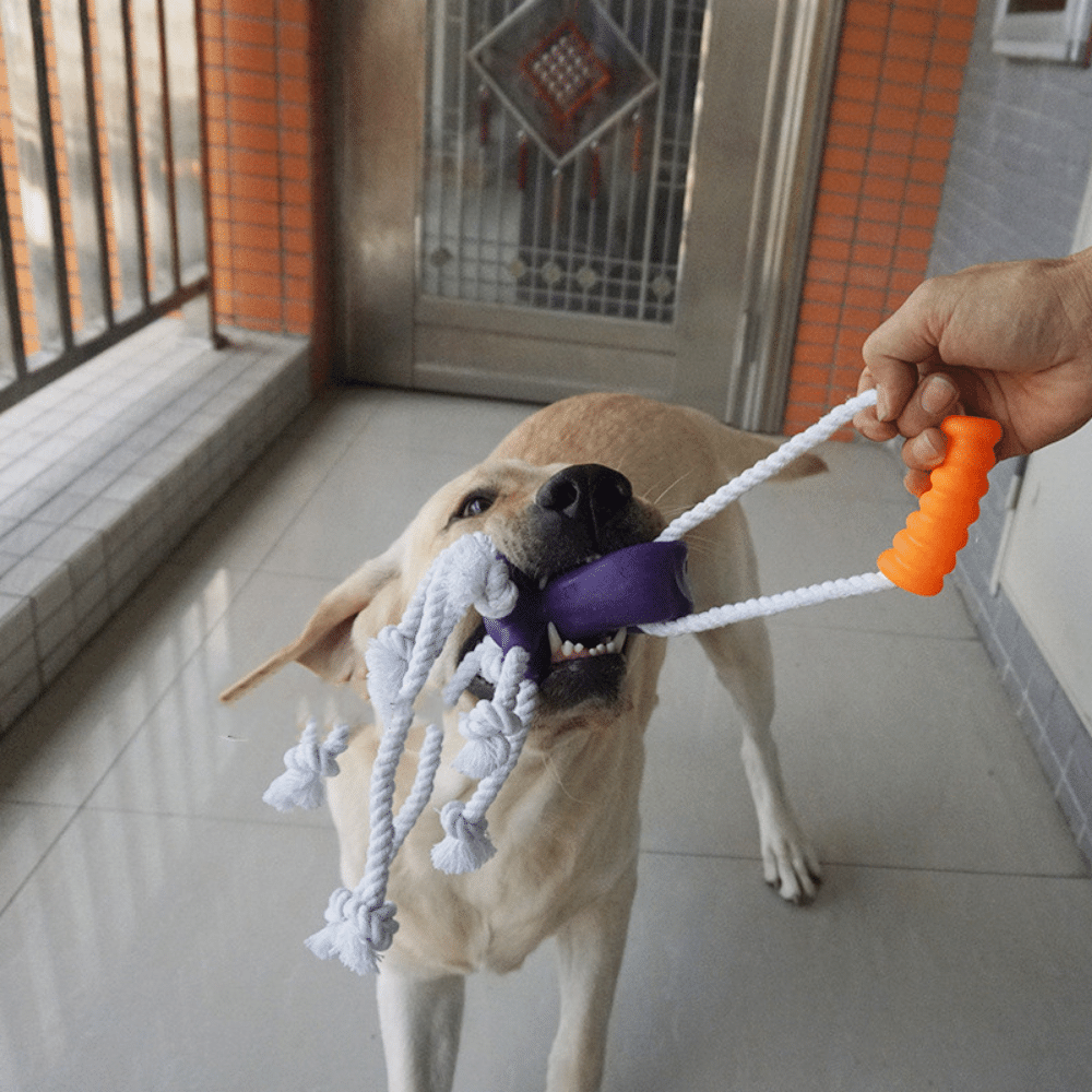 Purple Bite Resistant Hemp Rope Toy Puppies Teeth Cleaning Interactive Molar Ball