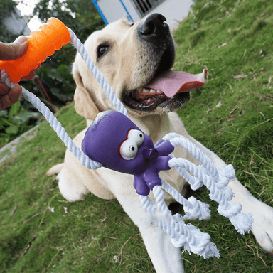 Purple Bite Resistant Hemp Rope Toy Puppies Teeth Cleaning Interactive Molar Ball