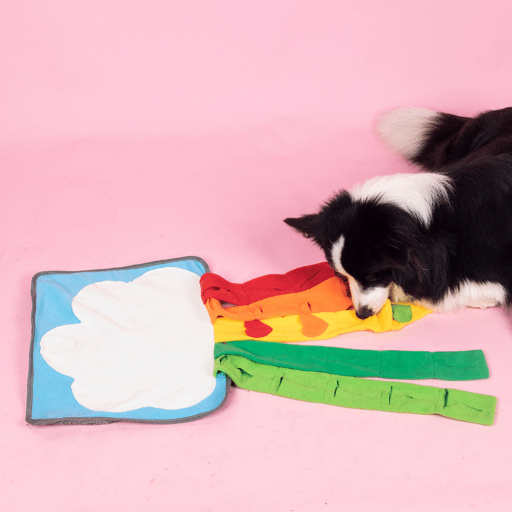 Rainbow Cloud Snuffle Mat