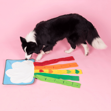 Rainbow Cloud Snuffle Mat