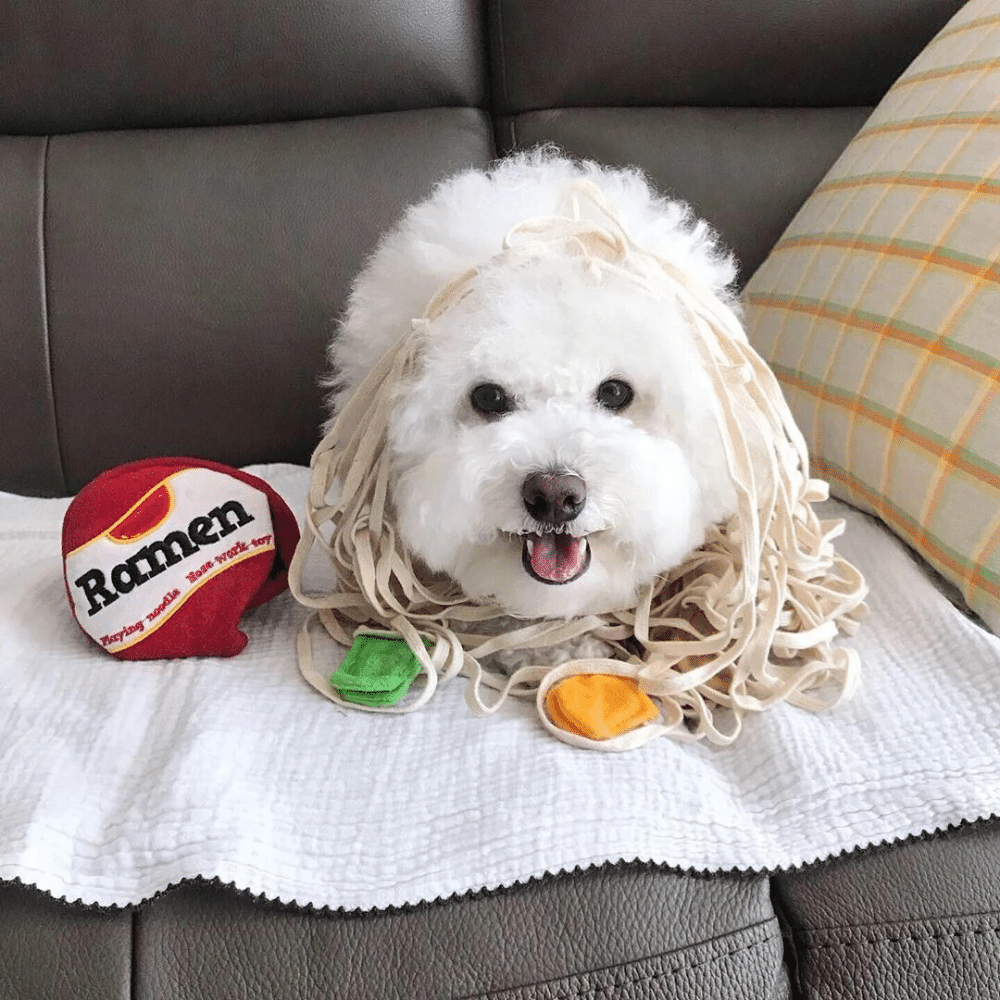 Ramen Cup Treat Sniffing Toy