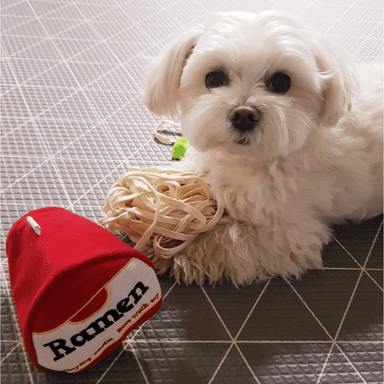 Ramen Cup Treat Sniffing Toy