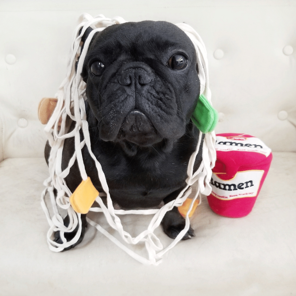 Ramen Cup Treat Sniffing Toy