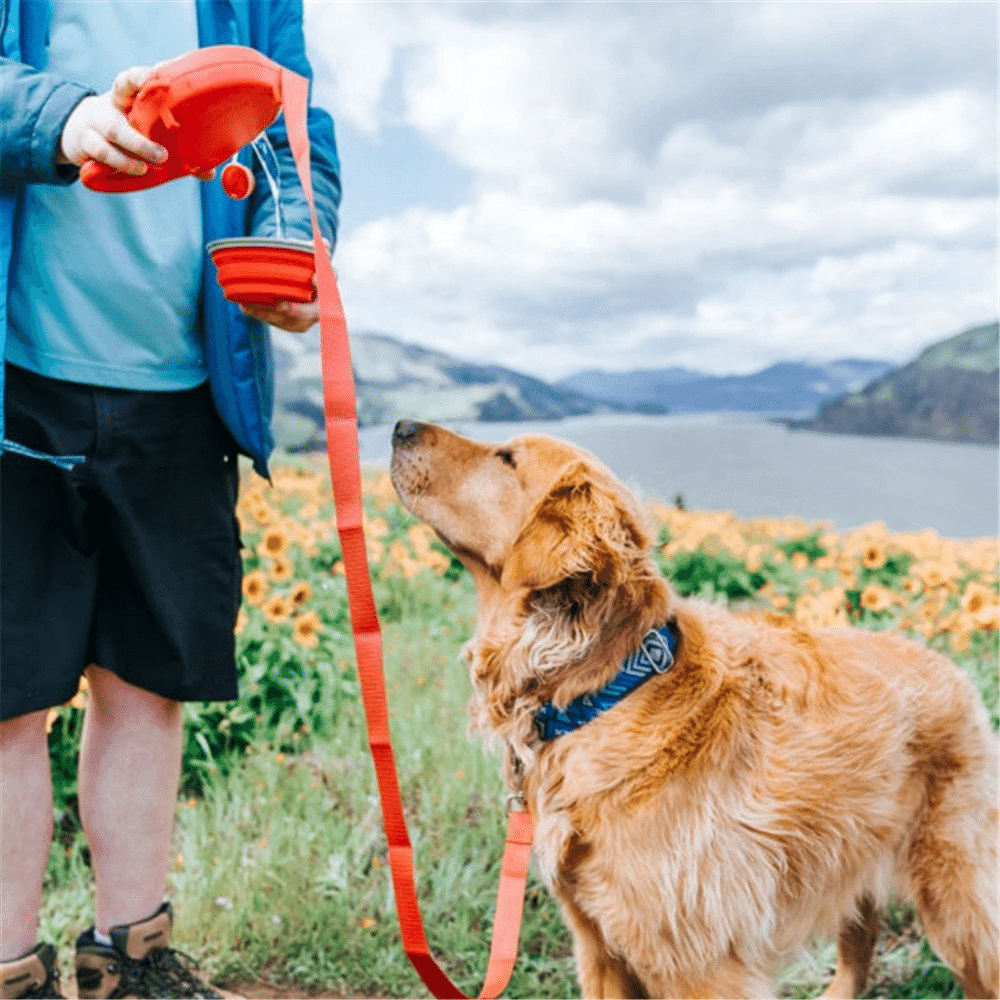 Red 4 in 1 Retractable Dog Leash and Collapsible Bowl