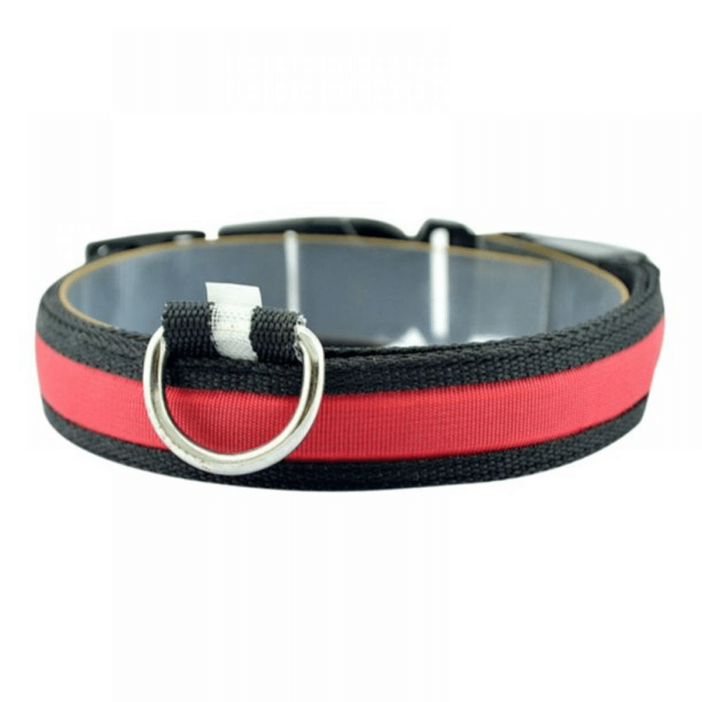 Red / Plain / L USB Rechargeable LED Flashing Nylon Dog Collar