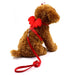 Red / S Angel Wings Dog Harness and Leash Set