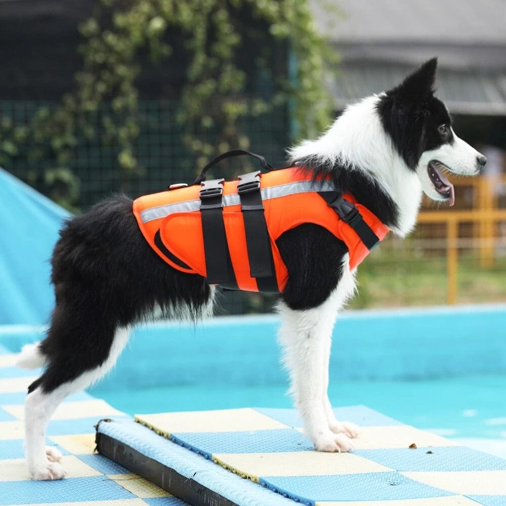 Reflective Dog Life Jacket Vest