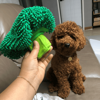 Roll Up Broccoli Snuffle Toy