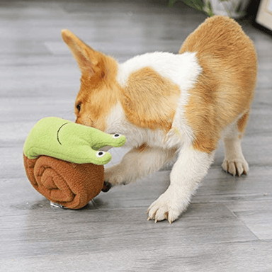 Roll Up Snail Treat Sniffing Toy