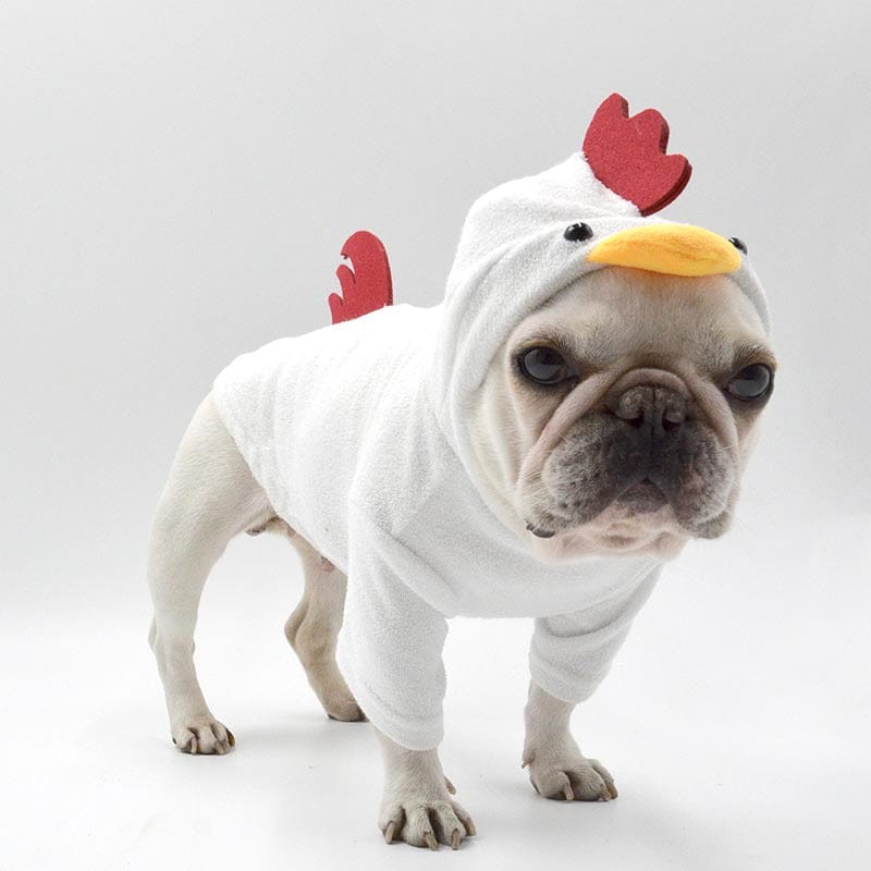 Rooster Style Dog Sweater With Hood Cute Makeover