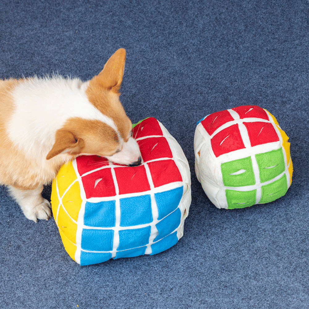 Rubik's Cube Treat Sniffing Dog Toy