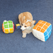 Rubik's Cube Treat Sniffing Dog Toy