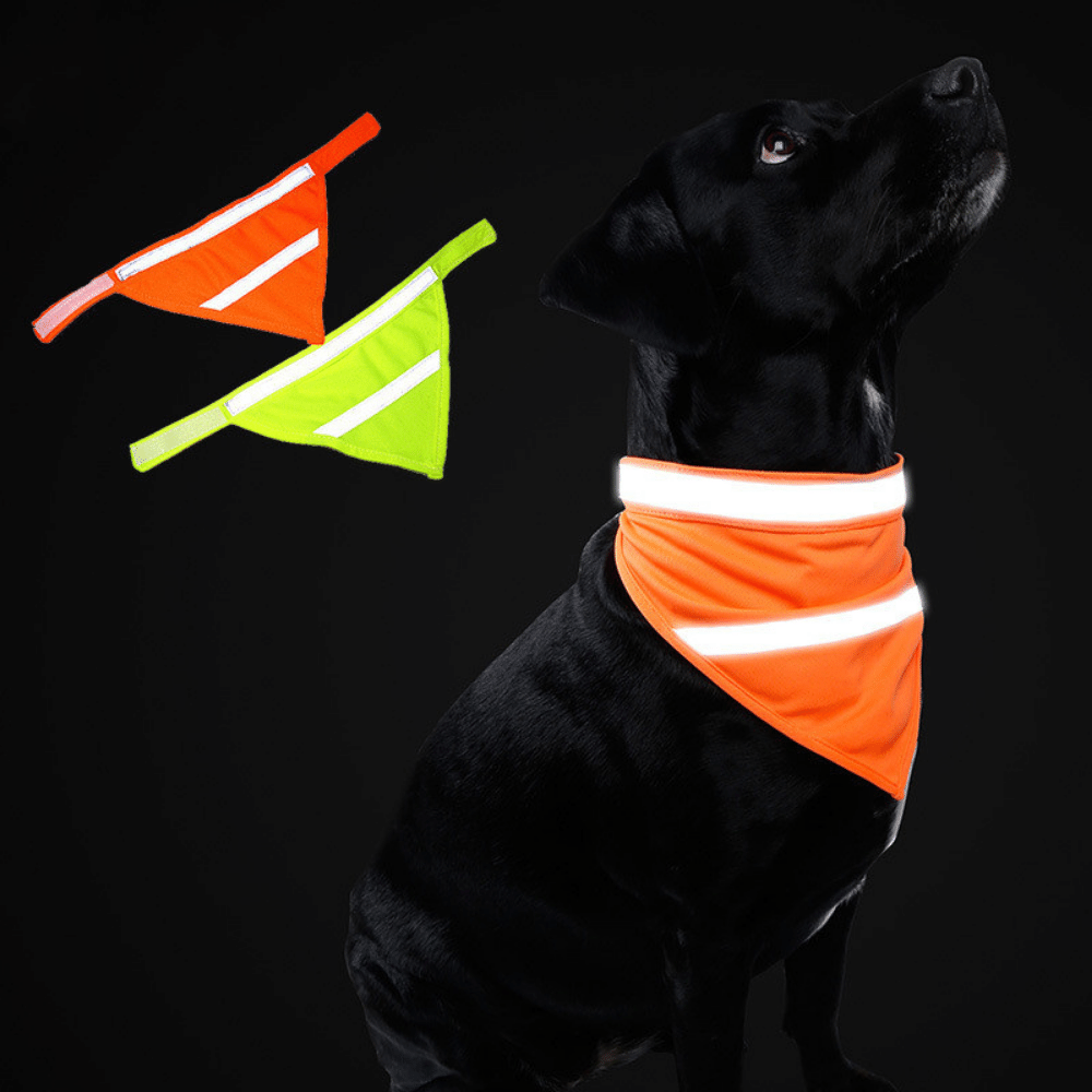 Safety Reflective Fluorescent Dog Bandana