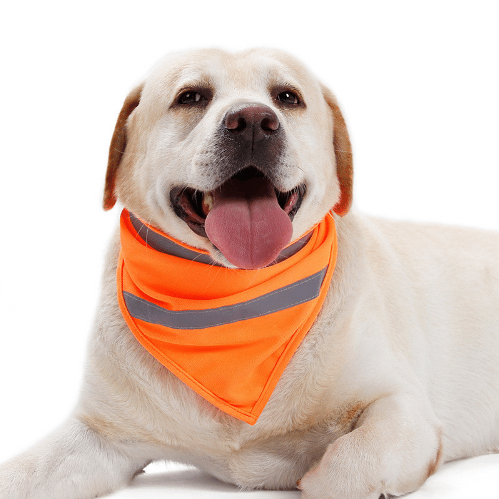 Safety Reflective Fluorescent Dog Bandana