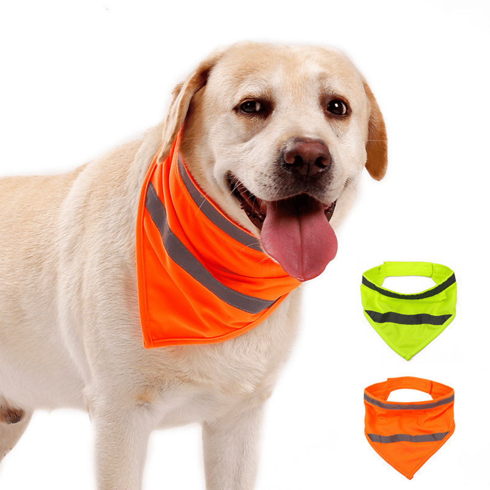 Safety Reflective Fluorescent Dog Bandana