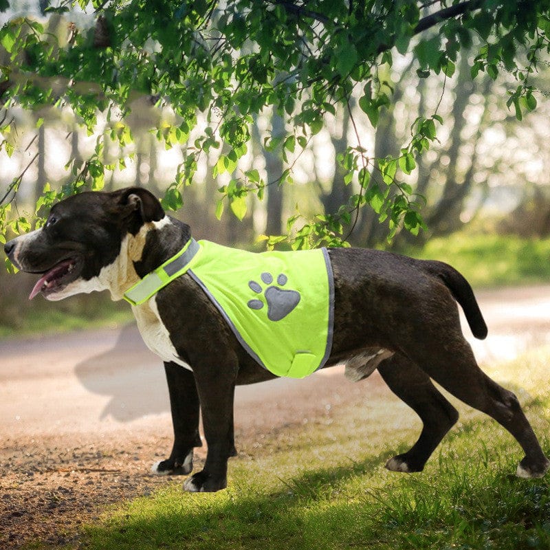 Safety Reflective Paw Print Dog Vest