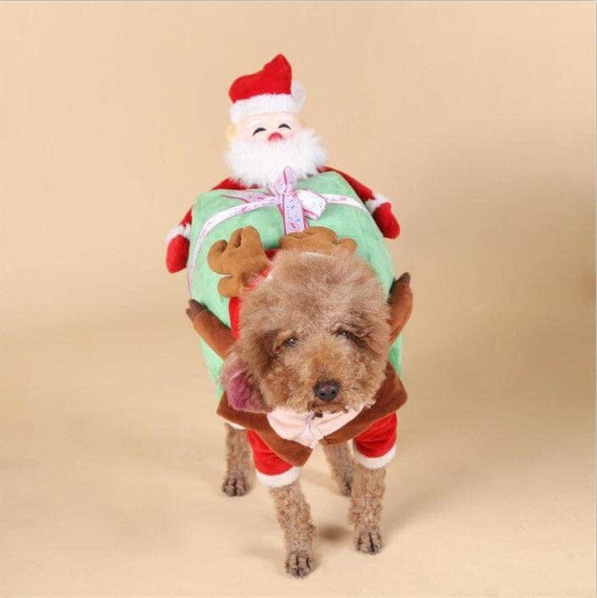 Santa Claus Carrying Gift Dog Costume