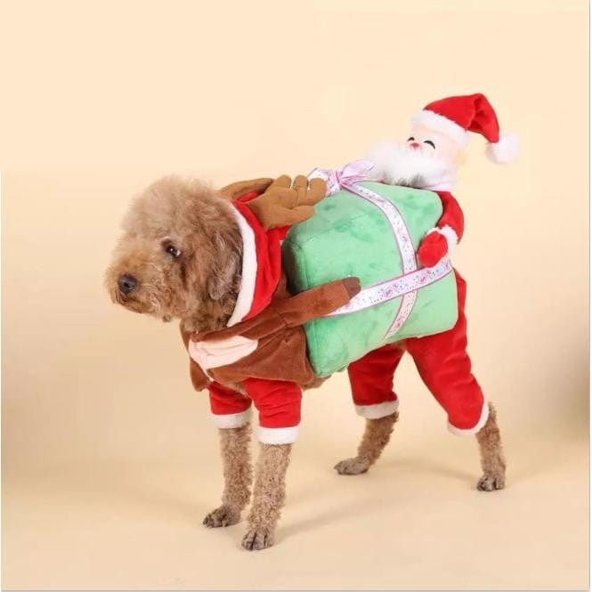 Santa Claus Carrying Gift Dog Costume