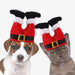 Santa Claus Legs Dog Hat