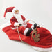 Santa Claus Rider Dog Costume