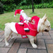 Santa Claus Rider Dog Costume