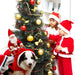 Santa Claus Rider Dog Costume