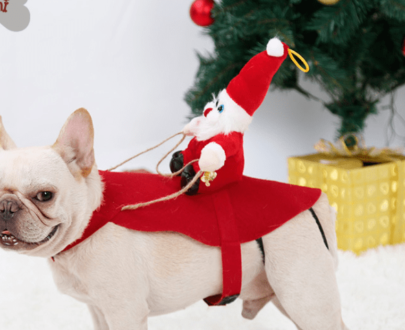 Santa Claus Rider Dog Costume