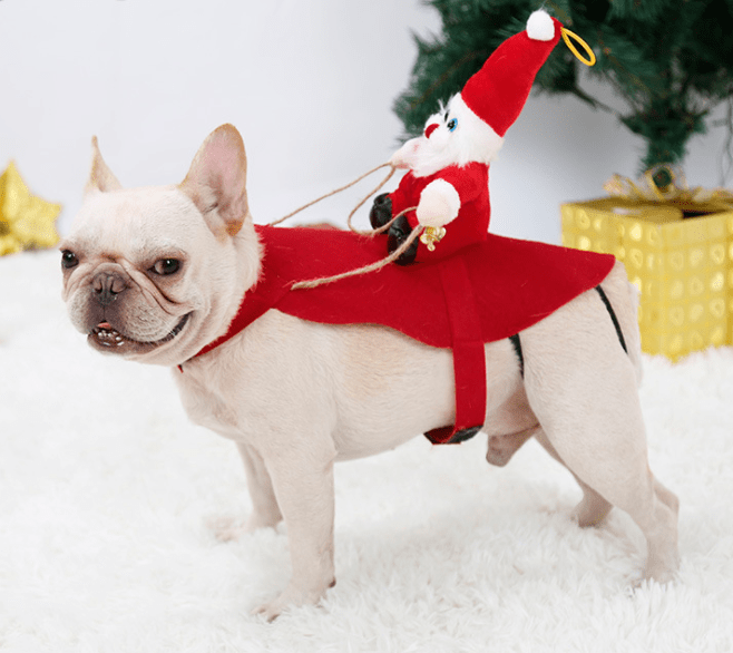 Santa Claus Rider Dog Costume