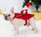 Santa Claus Rider Dog Costume