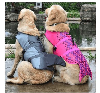 Shark Dog Life Jacket