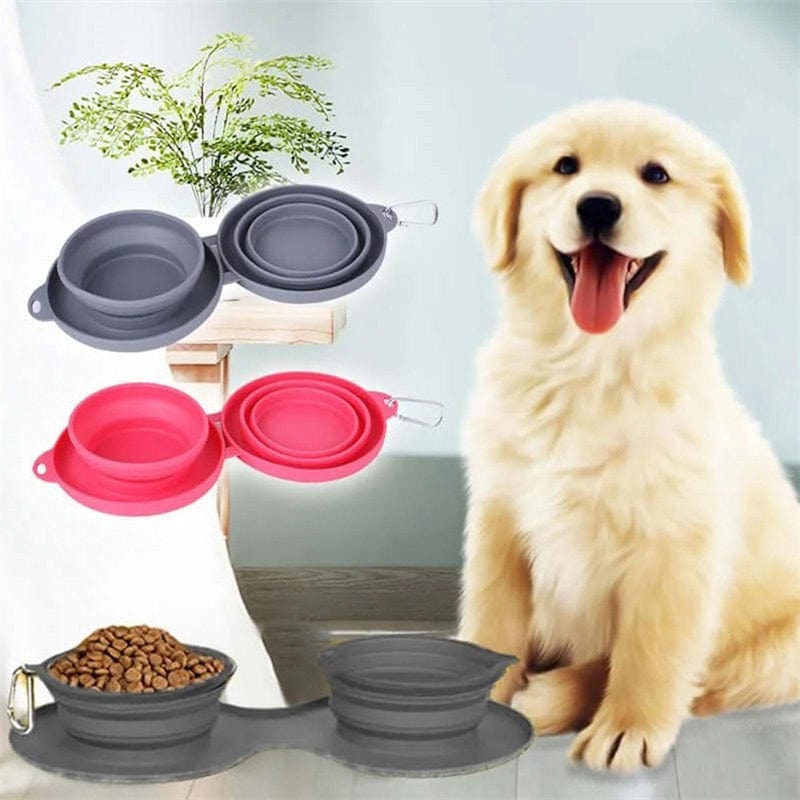 Silicone 2 in 1 Double Travel Collapsible Dog Bowls