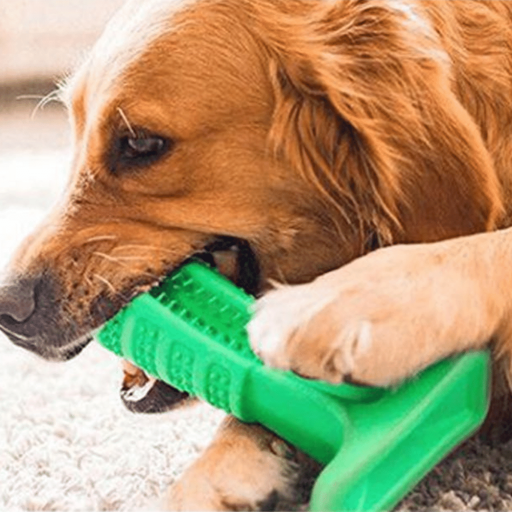 Silicone Pet Toothbrush Dog Tooth Stick Brush