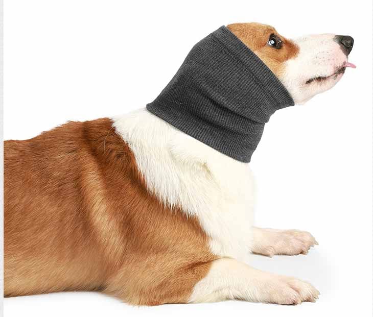 Simple Pet Dog Comfort Headgear Bib