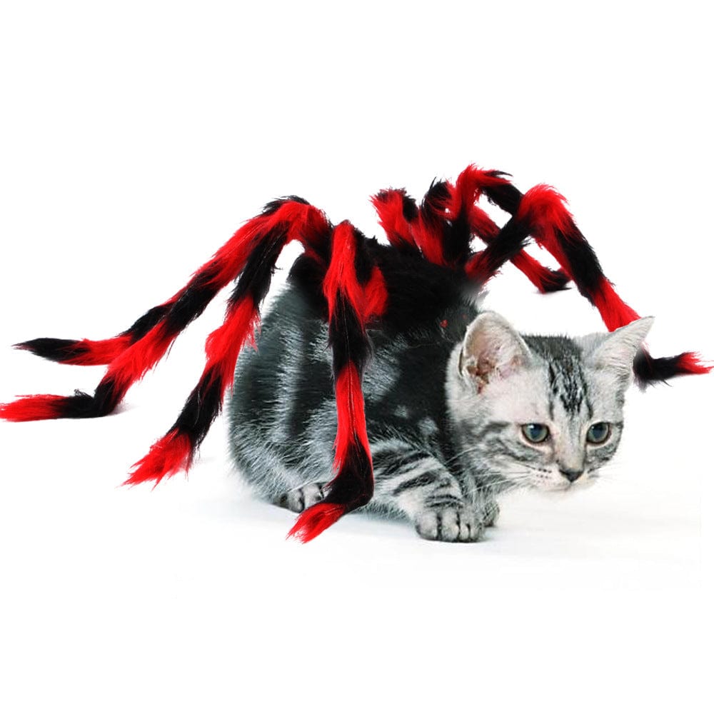 Spider Dog Costume