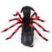 Spider Dog Costume