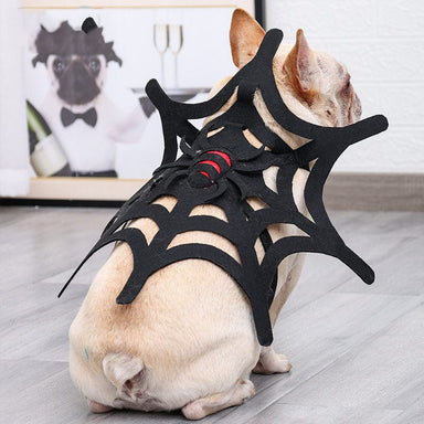 Spider Web Dog Costume