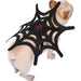 Spider Web Dog Costume