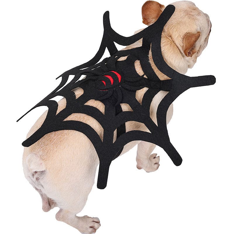 Spider Web Dog Costume