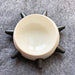 Spiked Collar Shaped Dog Bowl